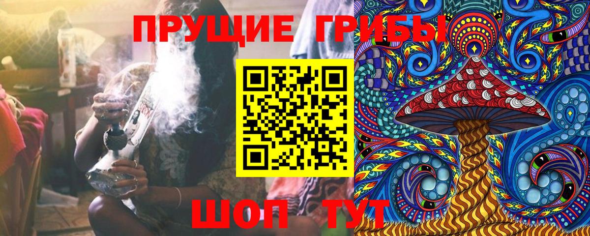 Галлюциногенные грибы Magic Shrooms Сердобск