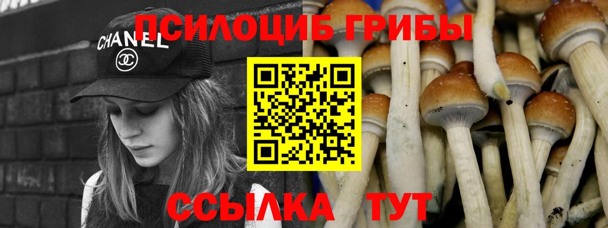 Галлюциногенные грибы Cubensis  Вход с VPN  Сердобск 